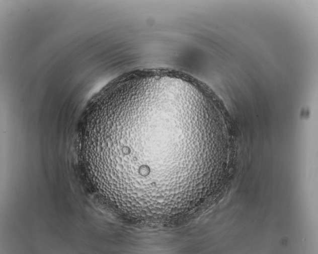 X0000094360871200711091513