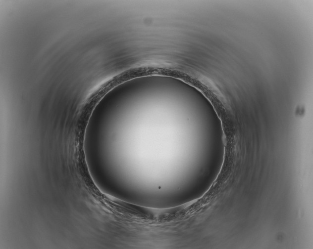 X0000094360872200711091513
