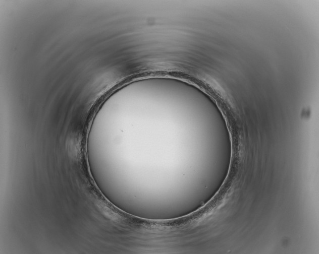 X0000094360873200711091513