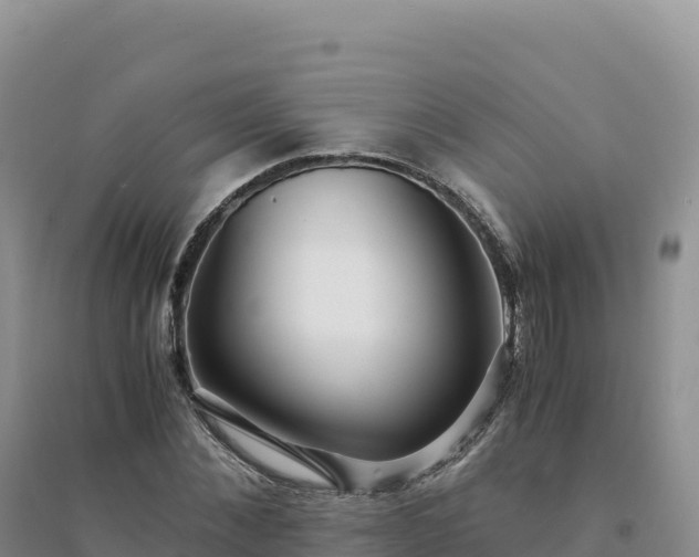 X0000094360876200711091513