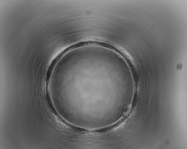 X0000094360877200711091513