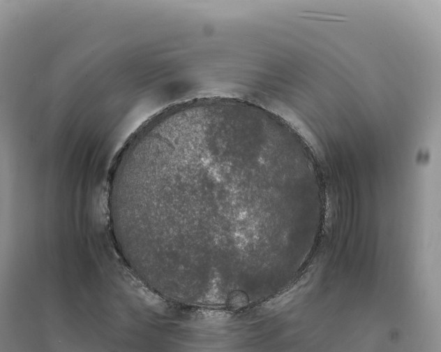 X0000094360878200711091513