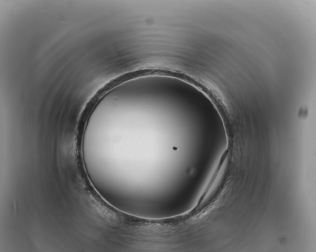 X0000094360880200711091513