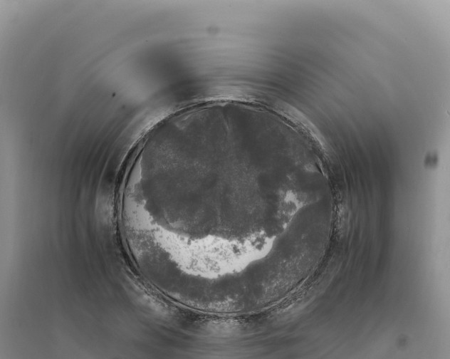 X0000094360882200711091513