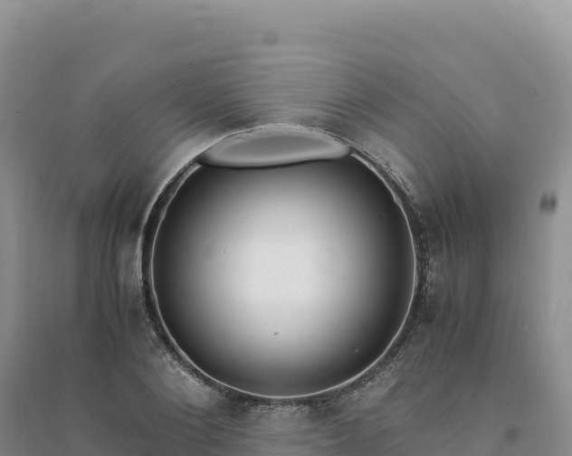 X0000094360884200711091513