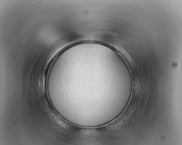 X0000094360886200711091513