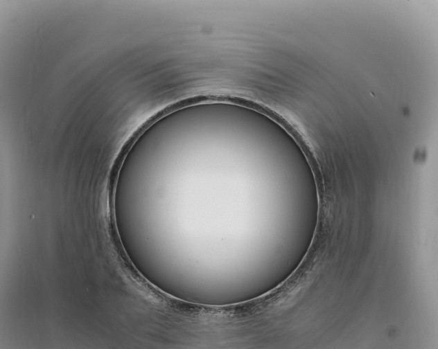 X0000094360887200711091513