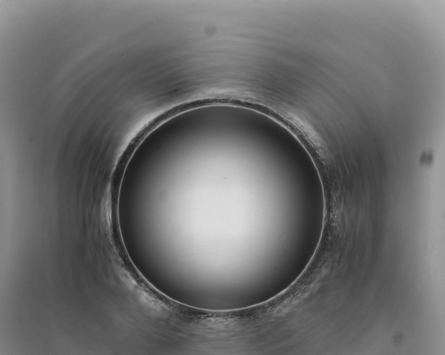 X0000094360888200711091513