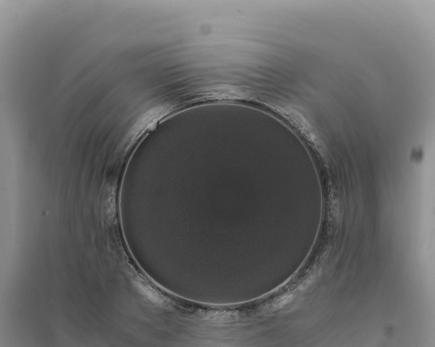 X0000094360889200711091512