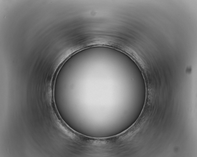 X0000094360890200711091512