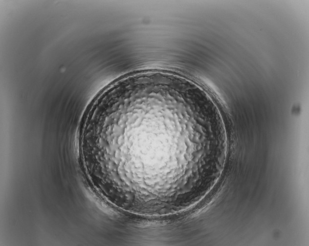 X0000094360892200711091512