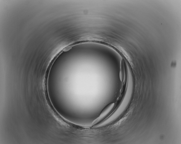 X0000094360893200711091512