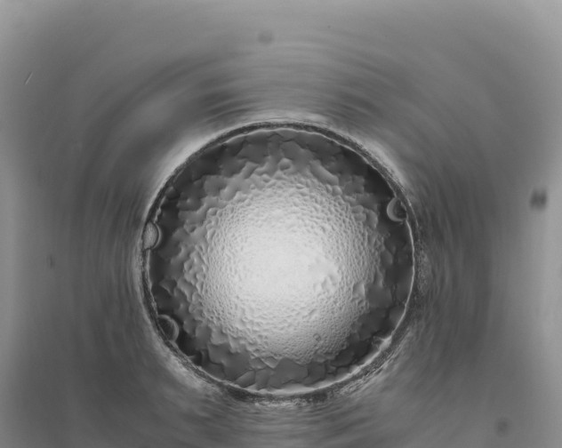 X0000094360895200711091512