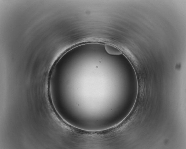 X0000094360896200711091512