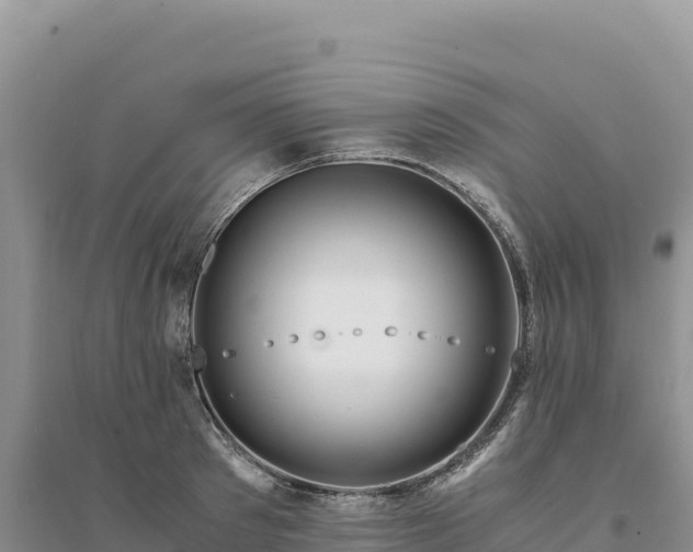 X0000094360897200711091512