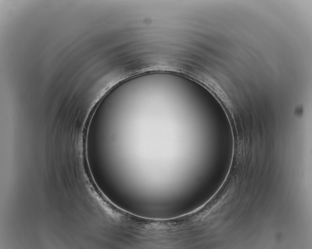 X0000094360898200711091512