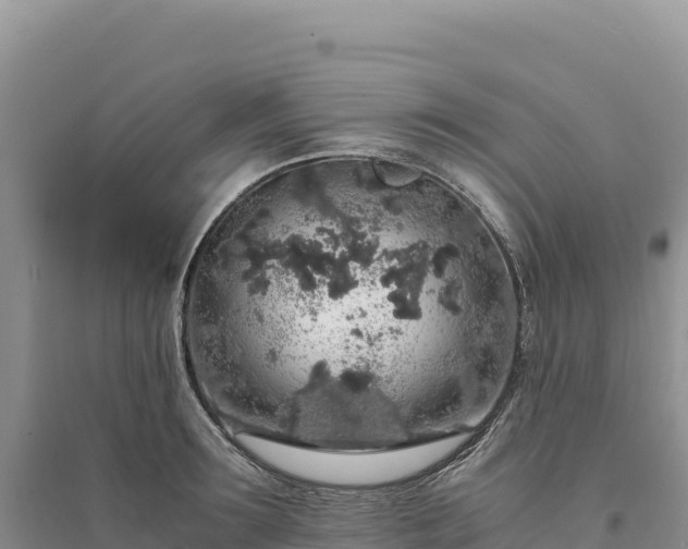 X0000094360899200711091512