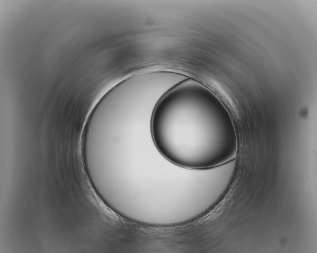 X0000094360900200711091512