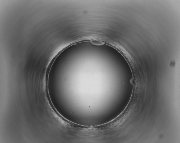 X0000094360902200711091512