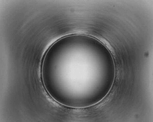 X0000094360904200711091512