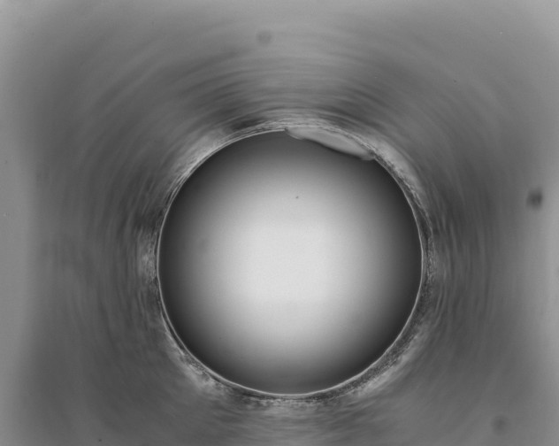 X0000094360905200711091512