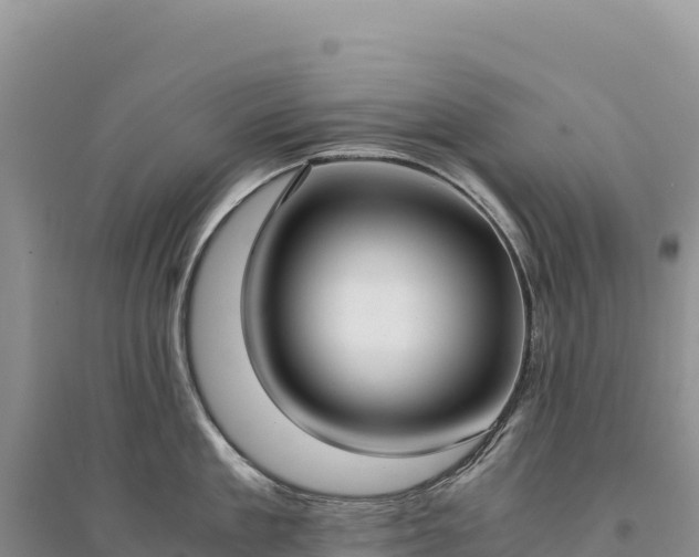 X0000094360909200711091512
