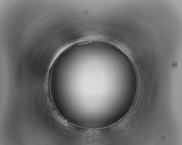 X0000094360912200711091512
