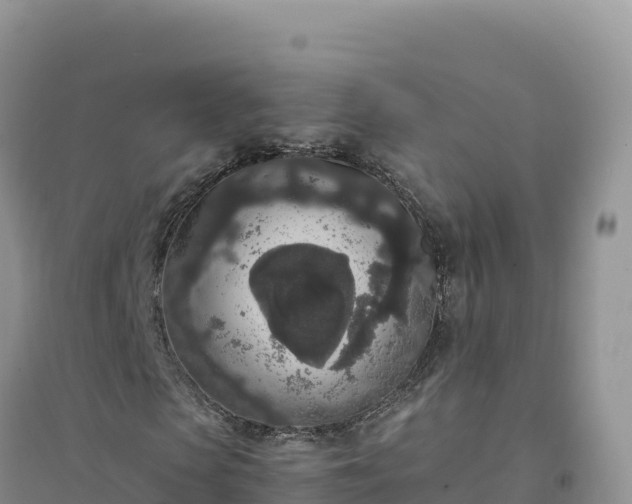 X0000094360913200711091512