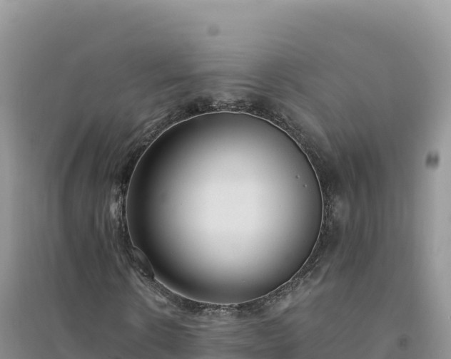 X0000094360914200711091512