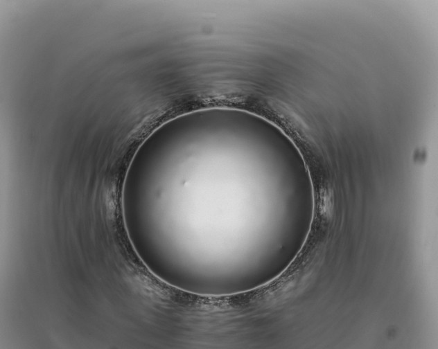 X0000094360915200711091512