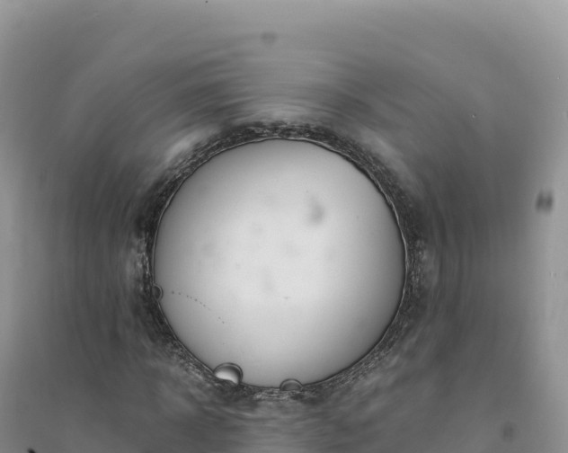 X0000094360918200711091512