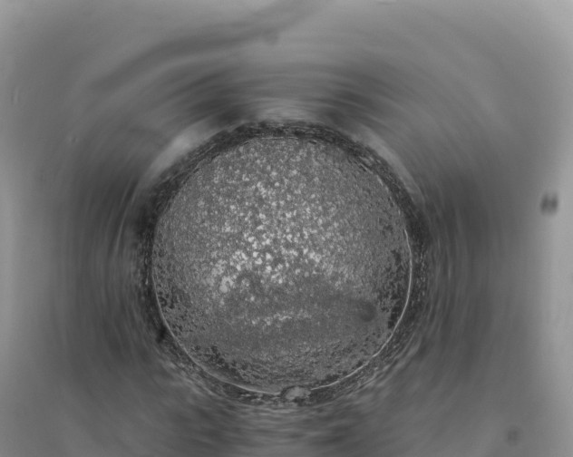 X0000094360919200711091512