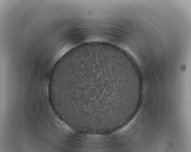 X0000094360921200711091512