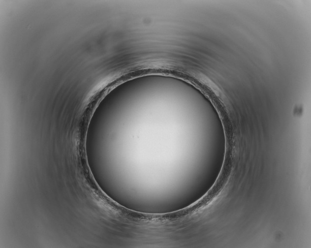 X0000094360922200711091512