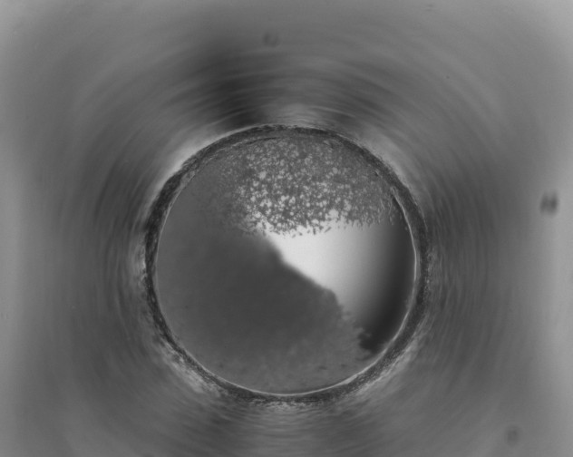 X0000094360923200711091512