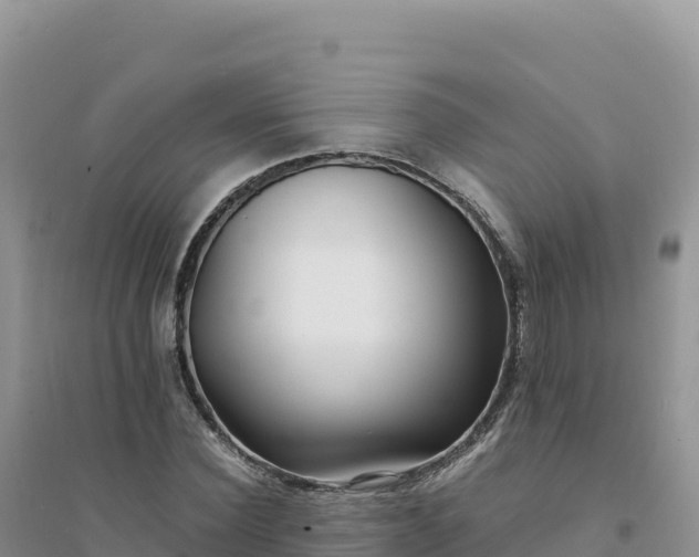 X0000094360924200711091512
