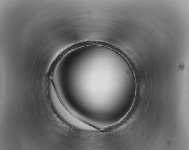 X0000094360926200711091512