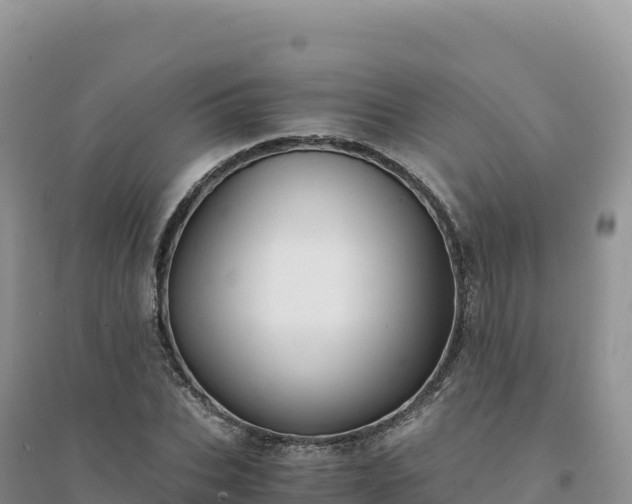 X0000094360927200711091512