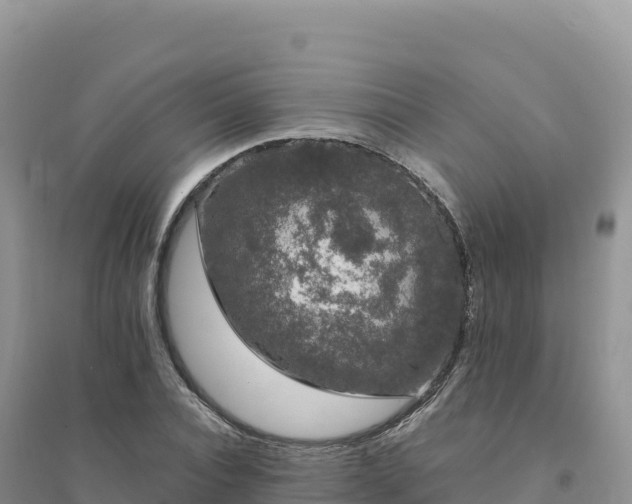 X0000094360928200711091512