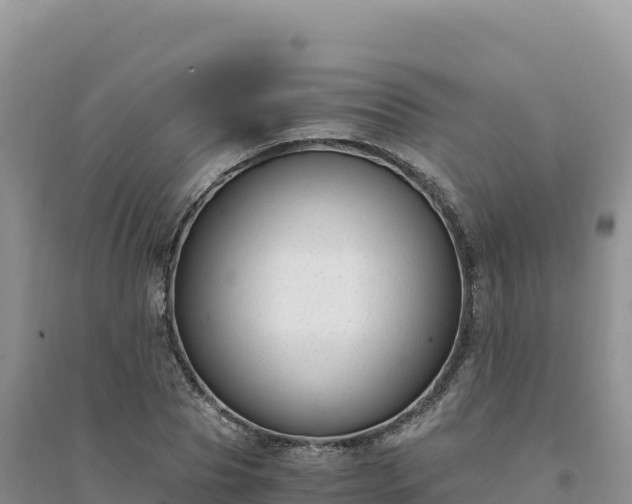 X0000094360929200711091512