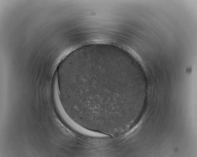 X0000094360930200711091512
