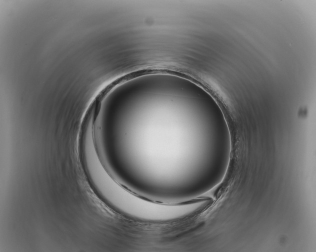 X0000094360932200711091512