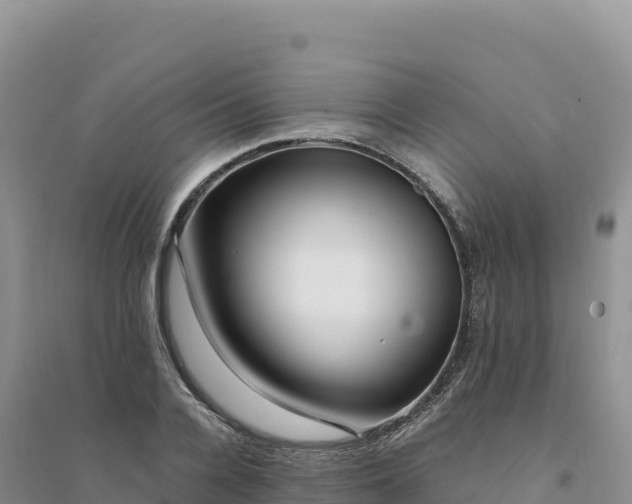X0000094360936200711091512