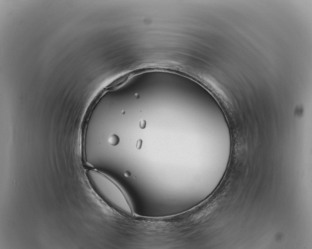 X0000094360940200711091512