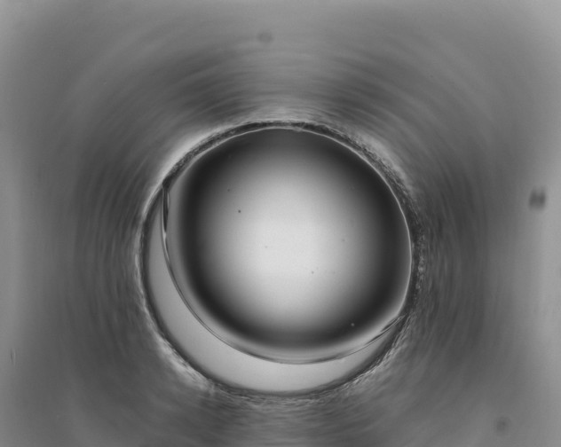 X0000094360942200711091512