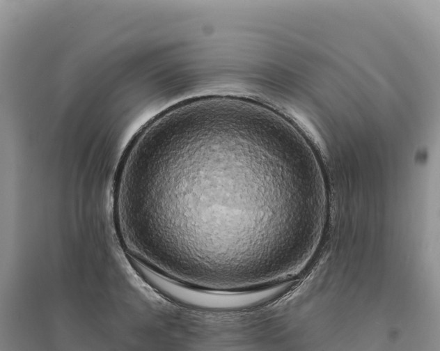 X0000094360944200711091512