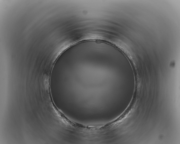 X0000094360945200711091512