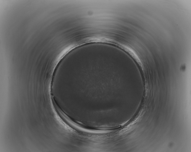 X0000094360946200711091512