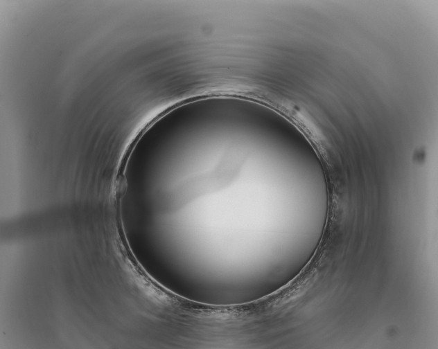 X0000094360948200711091512