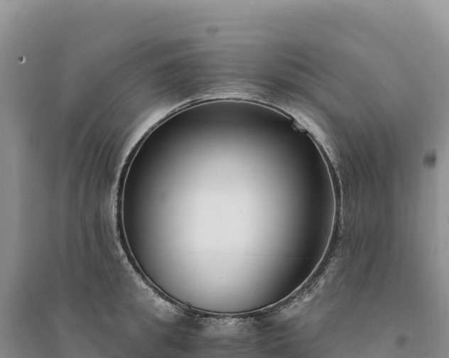 X0000094360949200711091512